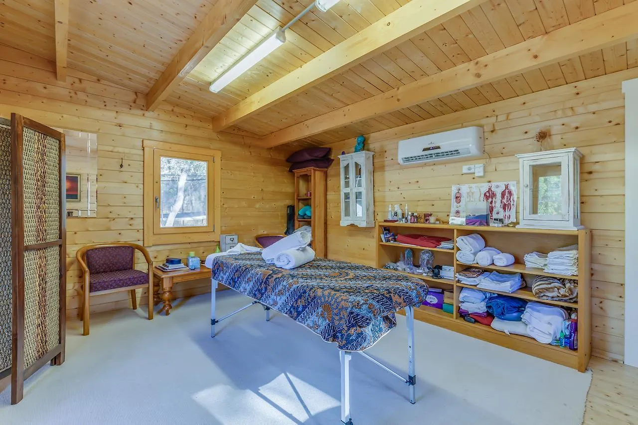 לינה וארוחת בוקר Hopeland Devonleigh Bed And Breakfast